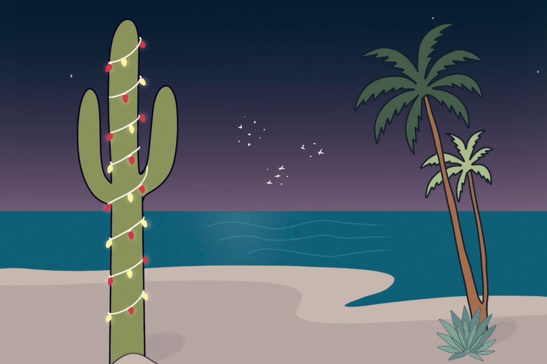 An illustration of a beach at night with palm trees and a cactus strung with Christmas lights