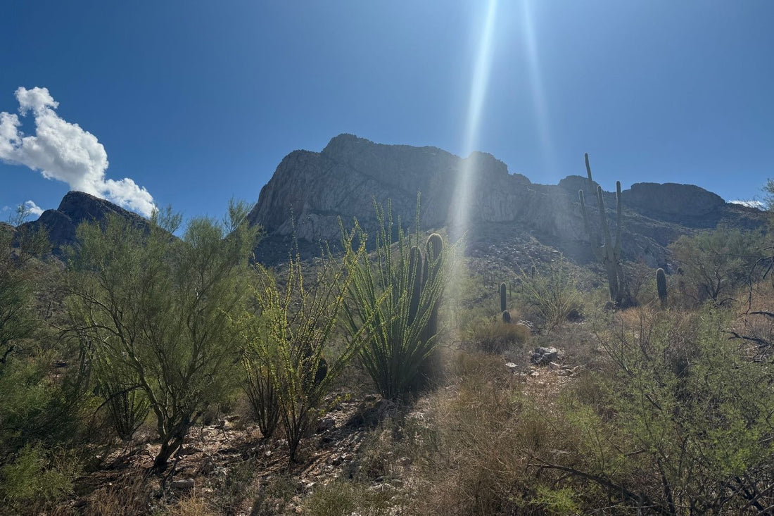 The Catalina Mountains near Oro Valley, AZ